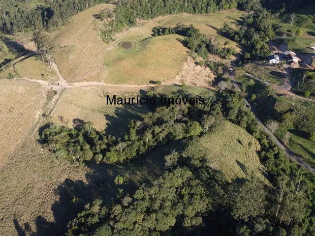Imagem 3: Terreno Rural na Localidade de Rio de Trás, contendo uma área de 16,87 Hectares