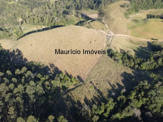 Imagem 16: Terreno Rural na Localidade de Rio de Trás, contendo uma área de 16,87 Hectares