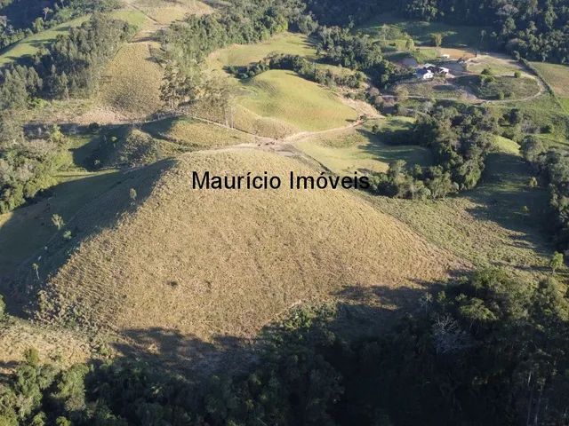 Imagem 2: Terreno Rural na Localidade de Rio de Trás, contendo uma área de 16,87 Hectares