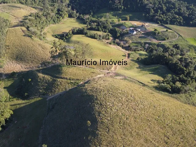 Imagem 5: Terreno Rural na Localidade de Rio de Trás, contendo uma área de 16,87 Hectares