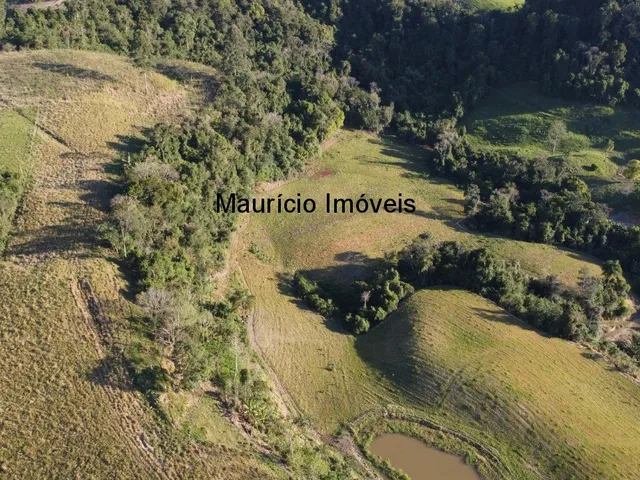 Imagem 10: Terreno Rural na Localidade de Rio de Trás, contendo uma área de 16,87 Hectares