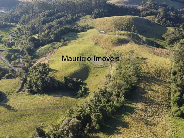 Imagem 13: Terreno Rural na Localidade de Rio de Trás, contendo uma área de 16,87 Hectares