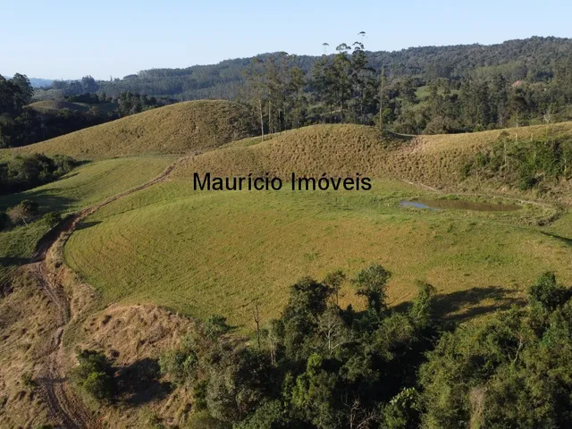 Imagem 4: Terreno Rural na Localidade de Rio de Trás, contendo uma área de 16,87 Hectares
