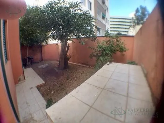 Imagem 8: Casa Comercial em Campinas - São Paulo, Taquaral