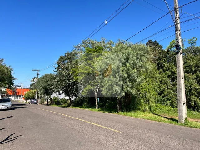 Imagem 5: Terreno de 990 m² à Venda no Bairro Floresta em Dois Irmãos