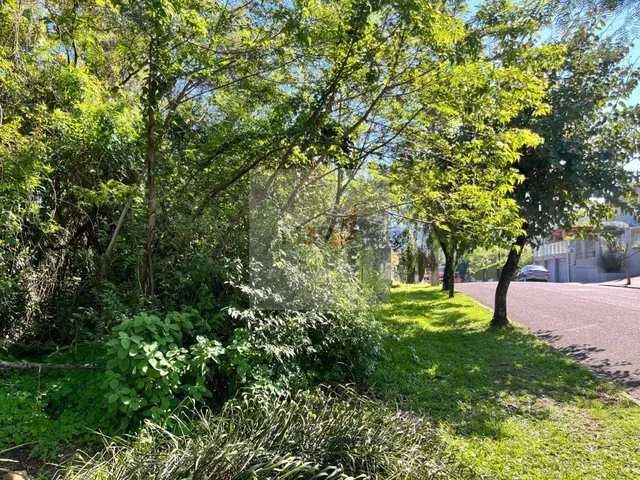 Imagem 6: Terreno de 990 m² à Venda no Bairro Floresta em Dois Irmãos