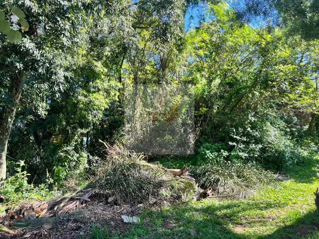 Imagem 3: Terreno de 990 m² à Venda no Bairro Floresta em Dois Irmãos