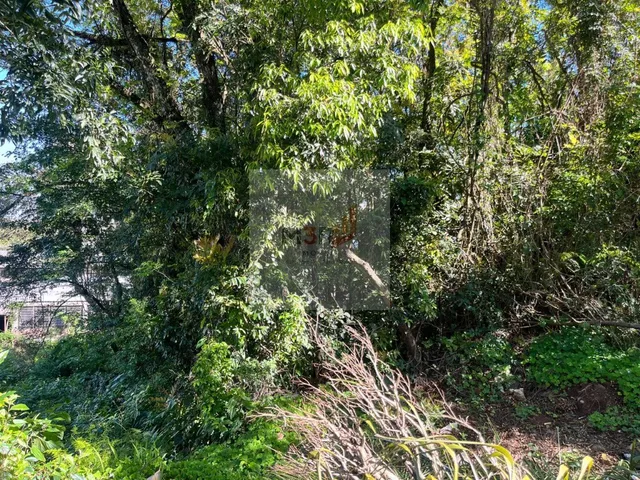 Imagem 7: Terreno de 990 m² à Venda no Bairro Floresta em Dois Irmãos