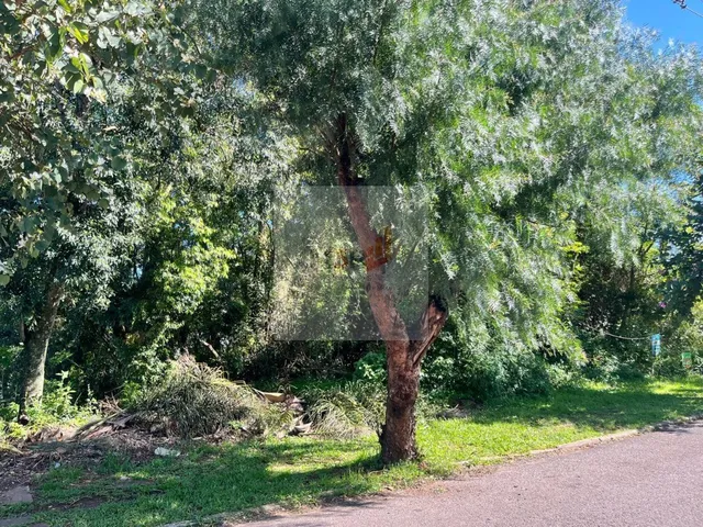 Imagem 4: Terreno de 990 m² à Venda no Bairro Floresta em Dois Irmãos