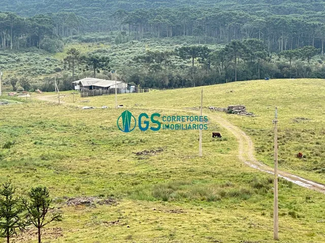 Imagem 1: Vendo Área Rural, com 82 Hectares em Região Turistica em Cambará do Sul Rs