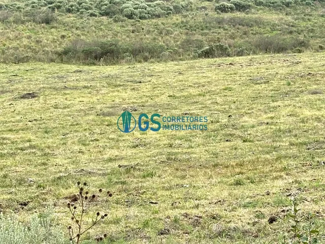 Imagem 8: Vendo Área Rural, com 82 Hectares em Região Turistica em Cambará do Sul Rs