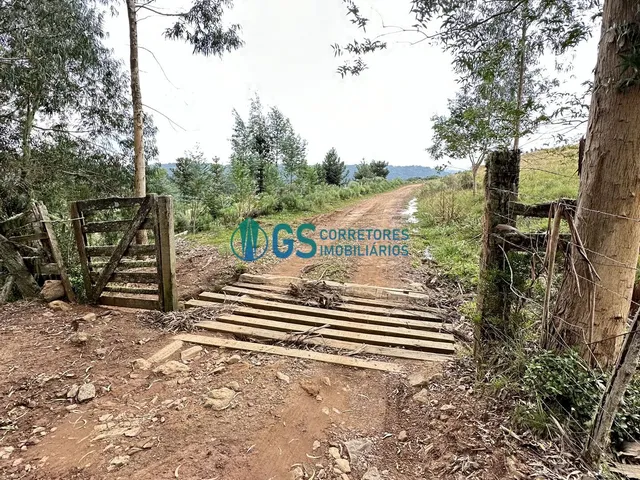Imagem 2: Vendo Área Rural, com 82 Hectares em Região Turistica em Cambará do Sul Rs