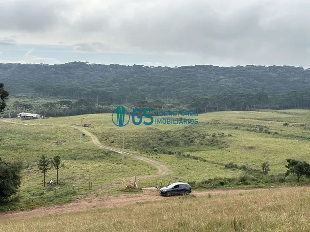 Imagem 7: Vendo Área Rural, com 82 Hectares em Região Turistica em Cambará do Sul Rs