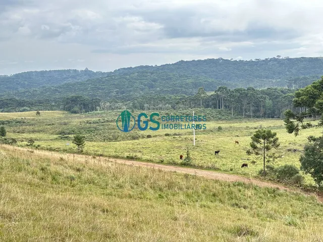 Imagem 3: Vendo Área Rural, com 82 Hectares em Região Turistica em Cambará do Sul Rs