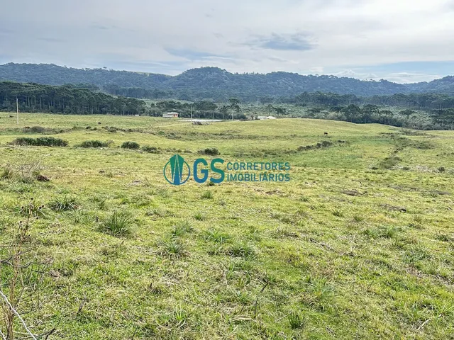 Imagem 12: Vendo Área Rural, com 82 Hectares em Região Turistica em Cambará do Sul Rs