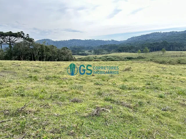 Imagem 10: Vendo Área Rural, com 82 Hectares em Região Turistica em Cambará do Sul Rs