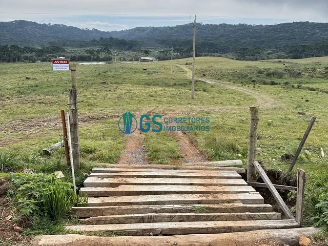 Imagem 16: Vendo Área Rural, com 82 Hectares em Região Turistica em Cambará do Sul Rs