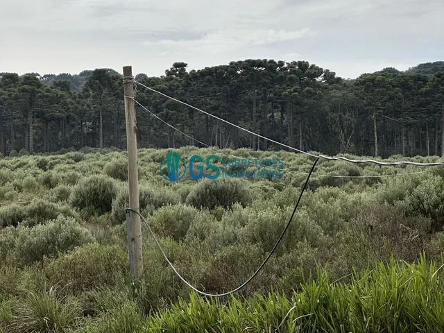 Imagem 14: Vendo Área Rural, com 82 Hectares em Região Turistica em Cambará do Sul Rs
