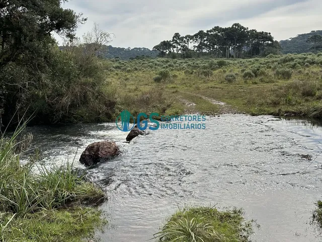 Imagem 6: Vendo Área Rural, com 82 Hectares em Região Turistica em Cambará do Sul Rs