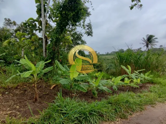 Imagem 5: Chácara em em Lagoa Seca/Pb