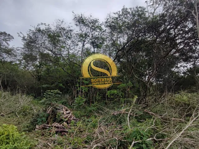 Imagem 6: Chácara em em Lagoa Seca/Pb