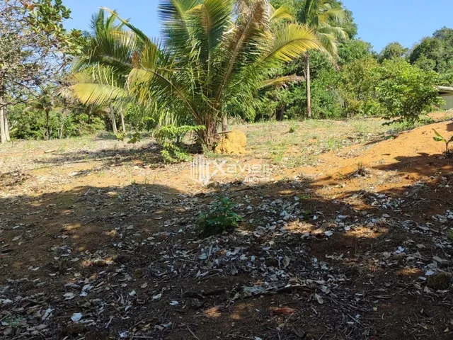 Imagem 12: Sítio à Venda com 3 Alqueires em Guarapari/ES - 145.200 m², Escritura, Pastagem