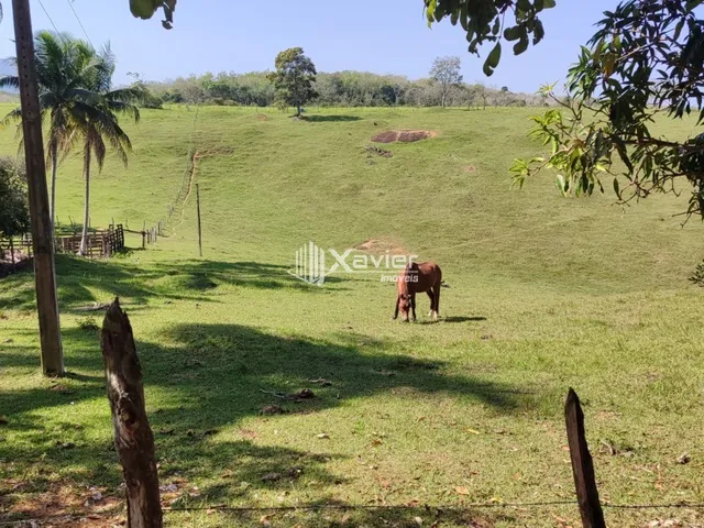 Imagem 9: Sítio à Venda com 3 Alqueires em Guarapari/ES - 145.200 m², Escritura, Pastagem