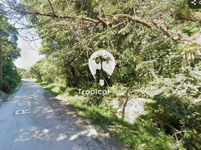 Imagem: Chácara à venda 8.355,80 m², Shangri-lá