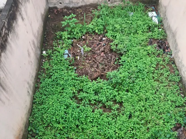 Imagem 8: Casa dúplex no Bairro amanda em Campo Grande/RJ