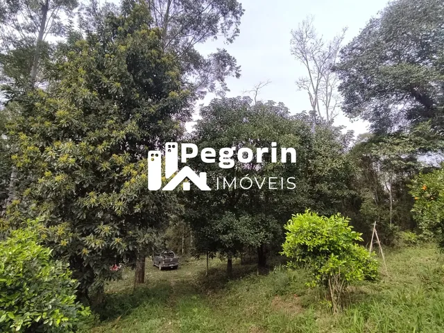 Imagem 4: CHÁCARA EM CAMPO MAGRO 51.000M²