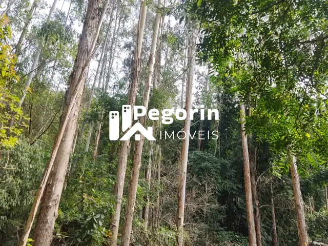 Imagem 14: CHÁCARA EM CAMPO MAGRO 51.000M²