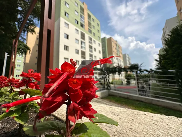 Imagem 3: Apartamento à venda 03 quartos bairro Campo Comprido