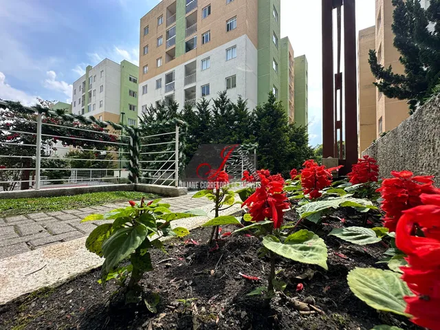 Imagem 14: Apartamento à venda 03 quartos bairro Campo Comprido