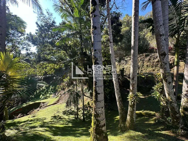 Imagem 11: Casa com 5 dormitórios à venda, 19.027,50 m² no Bairro Alto Palmeiras em Rio dos