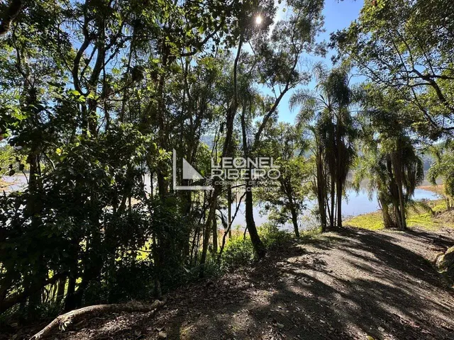 Imagem 8: Casa com 5 dormitórios à venda, 19.027,50 m² no Bairro Alto Palmeiras em Rio dos