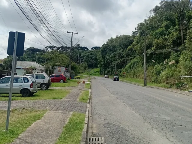 Imagem 3: Terreno em Loteamento Miranda, Campo Largo/PR