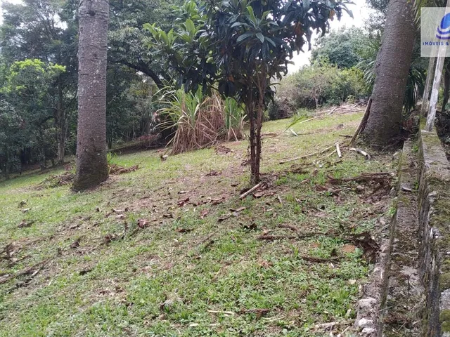 Imagem 14: Área Residencial/Comercial em Vila Torres, Campo Largo/PR