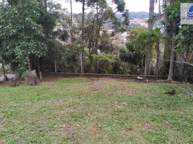 Imagem 9: Área Residencial/Comercial em Vila Torres, Campo Largo/PR