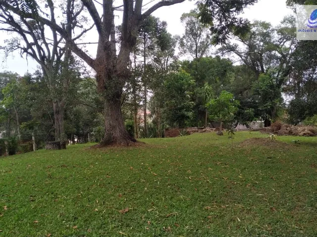 Imagem 15: Área Residencial/Comercial em Vila Torres, Campo Largo/PR