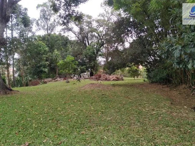 Imagem 12: Área Residencial/Comercial em Vila Torres, Campo Largo/PR