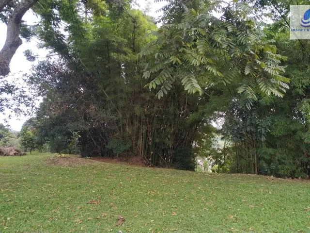 Imagem 8: Área Residencial/Comercial em Vila Torres, Campo Largo/PR