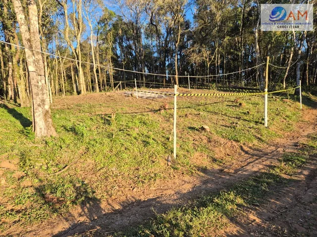 Imagem: Terreno em Cidade Industrial, Curitiba/PR