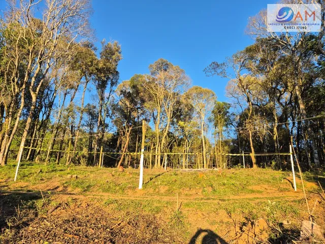 Imagem 2: Terreno em Cidade Industrial, Curitiba/PR