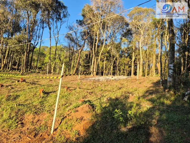 Imagem 3: Terreno em Cidade Industrial, Curitiba/PR