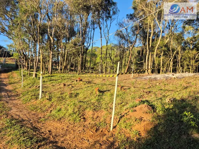 Imagem 4: Terreno em Cidade Industrial, Curitiba/PR