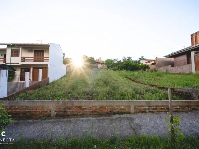 Imagem: Terreno à venda no bairro Floresta em Dois