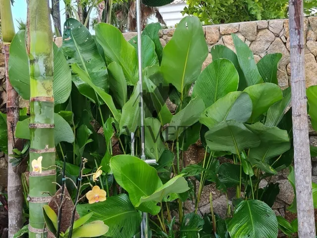 Imagem 5: Casa em condominio para venda no Alphaville
