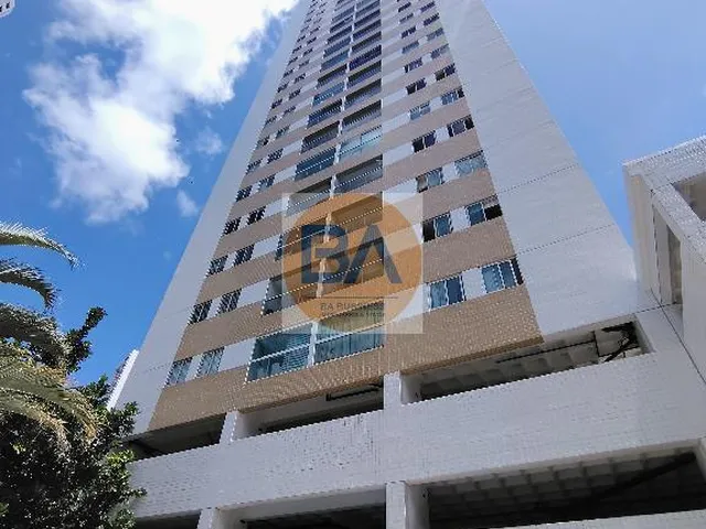 Imagem: ARVOREDO - bobarrudape
