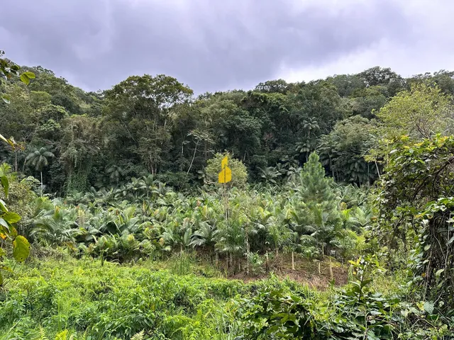 Imagem 6: Terreno à venda no bairro Glória - Rio dos Cedros/SC