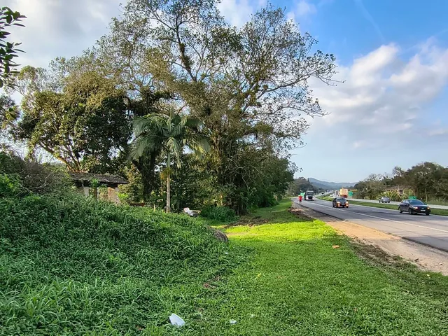 Imagem 13: Chácara na BR 277 km 31 com 90 metros de frente casa muito boa, pronta para morar